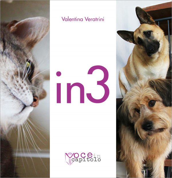 In 3 libro cd mp3