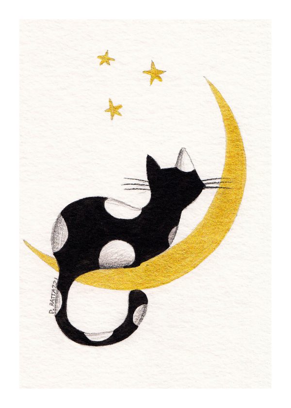 Stampe Gatti - immagine 5
