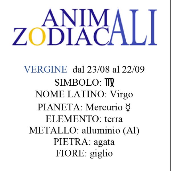 Animali Zodiacali | STAMPE - immagine 13