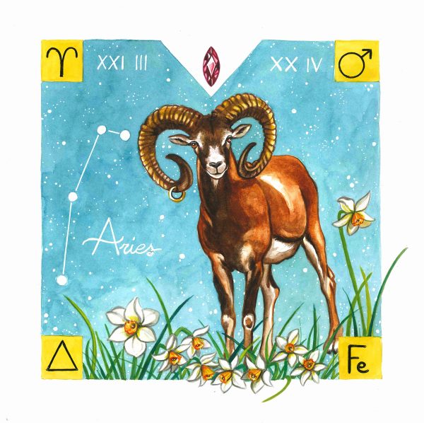 Animali Zodiacali | STAMPE - immagine 2