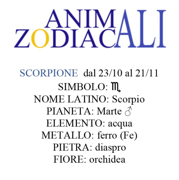 Animali Zodiacali | STAMPE - immagine 17