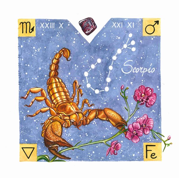 Animali Zodiacali | STAMPE - immagine 16