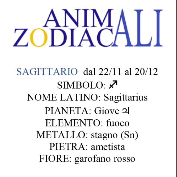 Animali Zodiacali | STAMPE - immagine 19
