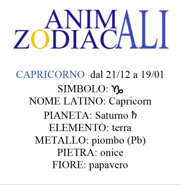Animali Zodiacali | STAMPE - immagine 21