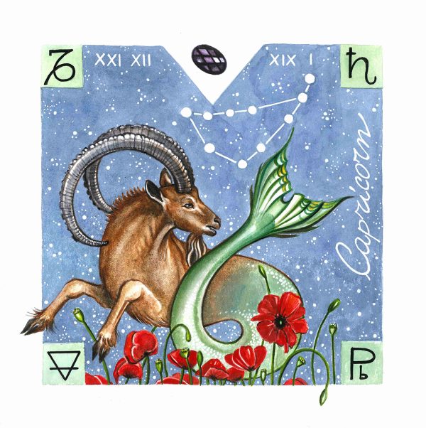 Animali Zodiacali | STAMPE - immagine 20