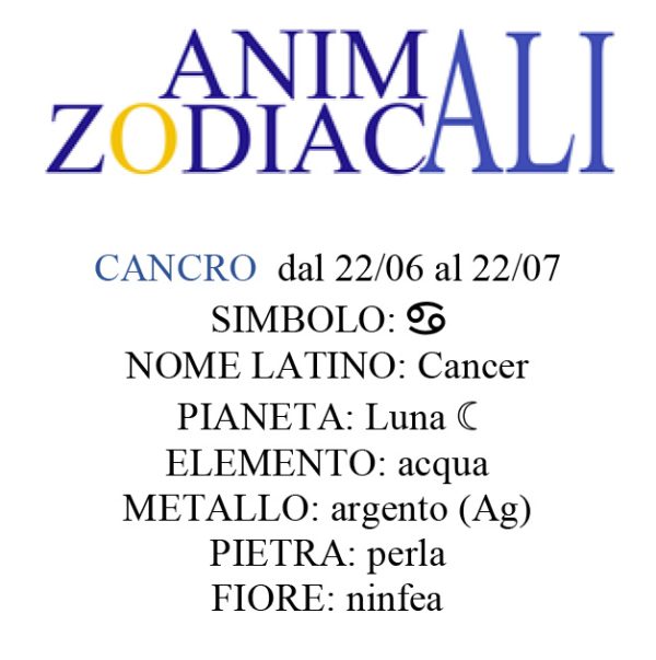 Animali Zodiacali | STAMPE - immagine 9