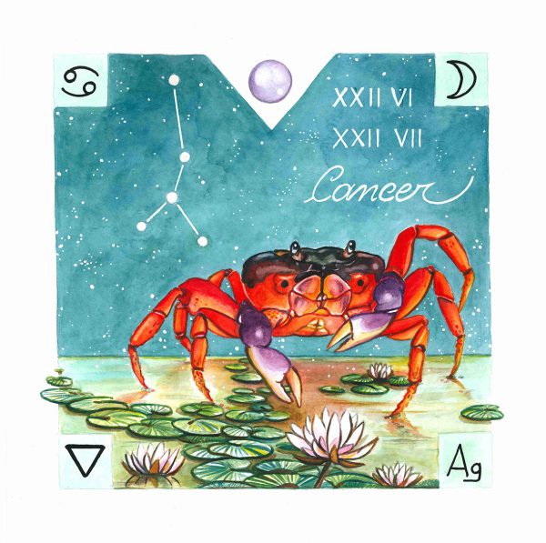 Animali Zodiacali_Cancro